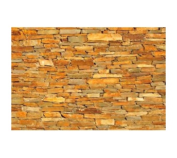 wall 